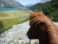 /album/engadin/p1000286-kl-jpg/